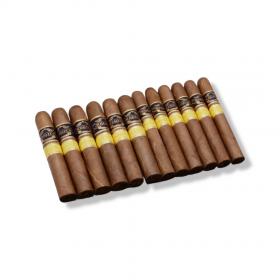 Regius Connecticut Collection Sampler - 12 Cigars
