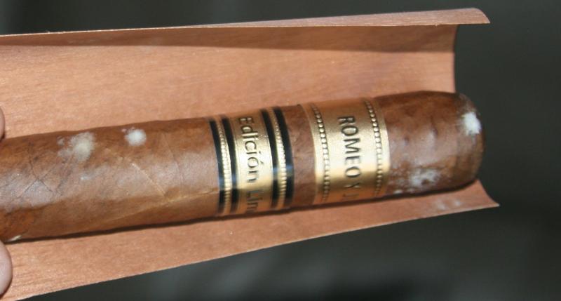 How can you tell the difference between Bloom (Plume) and