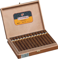 Cohiba Esplendidos - 25\'s