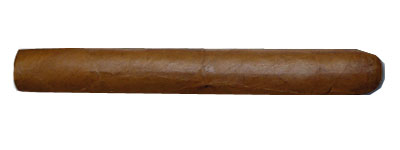 Dutch Blend Corona – Single Cigar