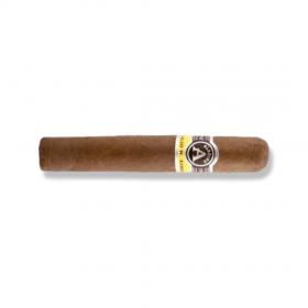 Aladino Corojo Petit Corona Cigar - 1 Single