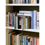 Bookcase Safe - Paperback Books