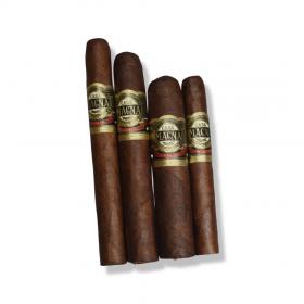 Casa Magna Selection Sampler - 4 Cigars