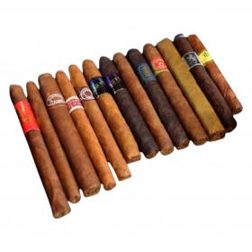 Season Sampler - 13 Cigars