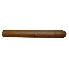 Dutch Blend Corona – Single Cigar