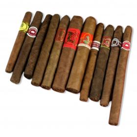 Last Minute Cigar Sampler & Gift Box - 11 Cigars
