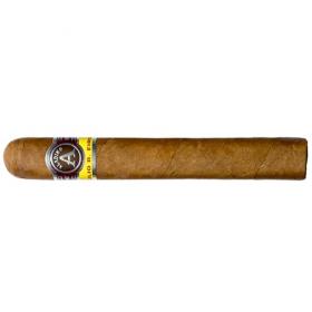 Aladino Corojo Gordo Cigar - 1 Single