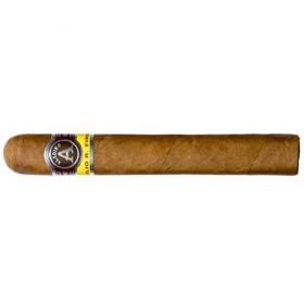 Aladino Corojo Gordo Cigar - 1 Single