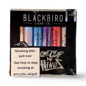 Blackbird Selection Sampler Gift Pack – 6 Cigars