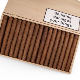 Dutch Blend Senoritas Brazil Cigar - Box of 50