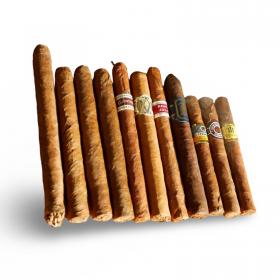 Spring Quick Puff Sampler - 11 Cigars