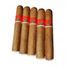 Conquistador Robusto Sampler - 5 Cigars