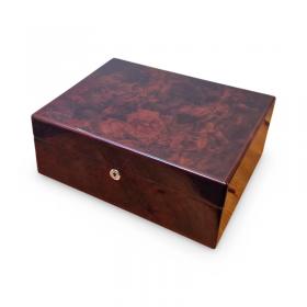 Apsley English Burl Walnut 50 Cigar Humidor with Lock