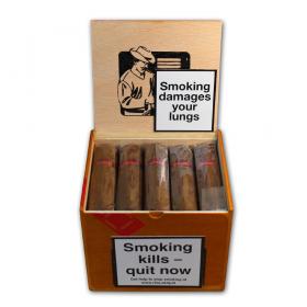 Chinchalero Picadillo Maduro Cigar - Box of 24