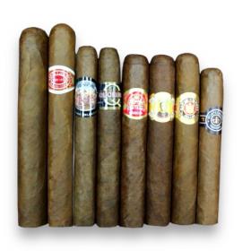 Walk in the Park Cigar Sampler - 8 Cigars