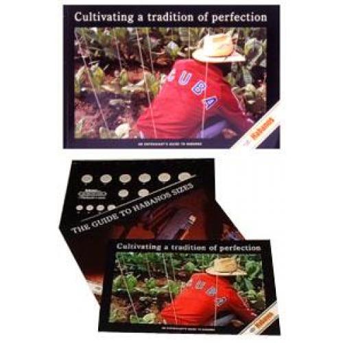 An Enthusiast's Guide to Habanos