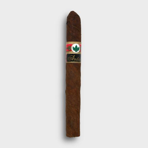 Joya de Nicaragua Antano 1970 Coronet  - Single Cigar