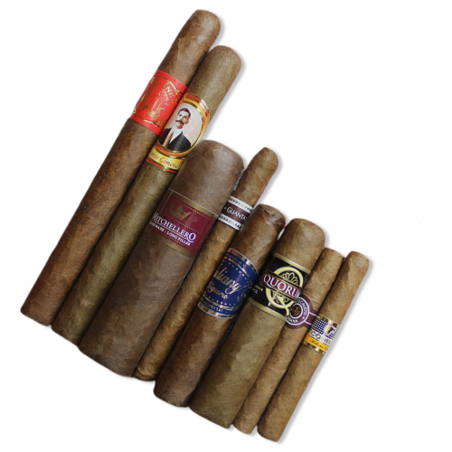 January International Sampler - 8 Cigars