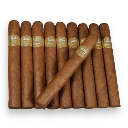 Por Larranaga Petit Coronas – Bundle of 10 Cigars